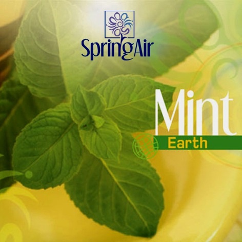 2573-springair-mint
