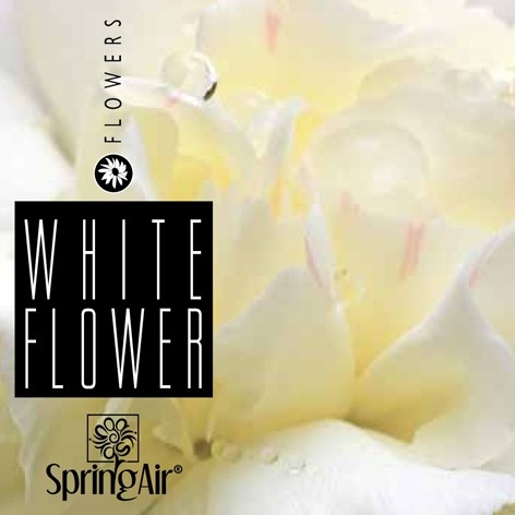 2510-springair-white-flower
