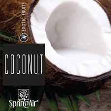 Aerospray Coconut 250 ml 