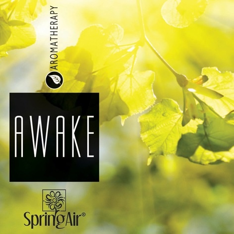 2519-springair-awake
