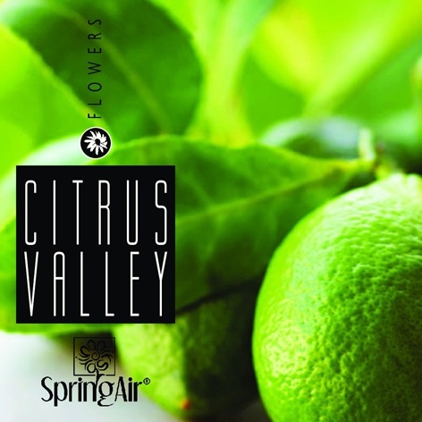 2526-springair-citrus-valley