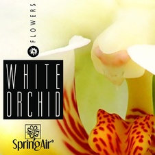 Aerospray  White Orchid 250 ml 