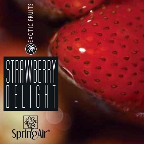 2509-springair-strawberry-delight obch