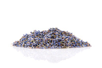 levandule_wellness_bylina