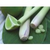 100-2_thai-lemongrass-174668666-cmyk--2
