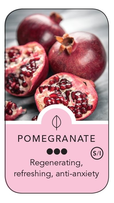 65a96990558617aa77d8fb3d5349b6e1