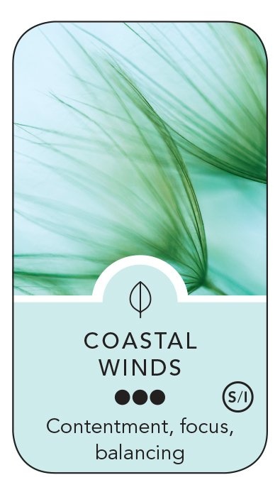 00b48442321e2dc53924b6ca09c55980