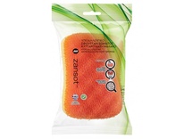 ŘECKÁ HYPOALERGENNÍ ANTICELULITIDNÍ + MĚKKÁ HOUBA