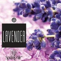 2577-springair-lavender