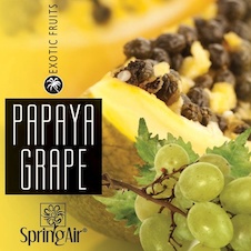 2594-springair-papaya-grape